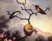 Ruby Throats with Apple Blossoms - 马丁·约翰逊·赫德